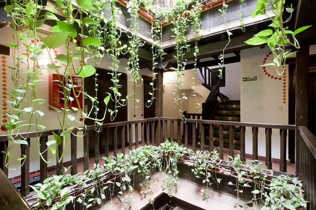 Oasis Backpackers' Hostel Granada