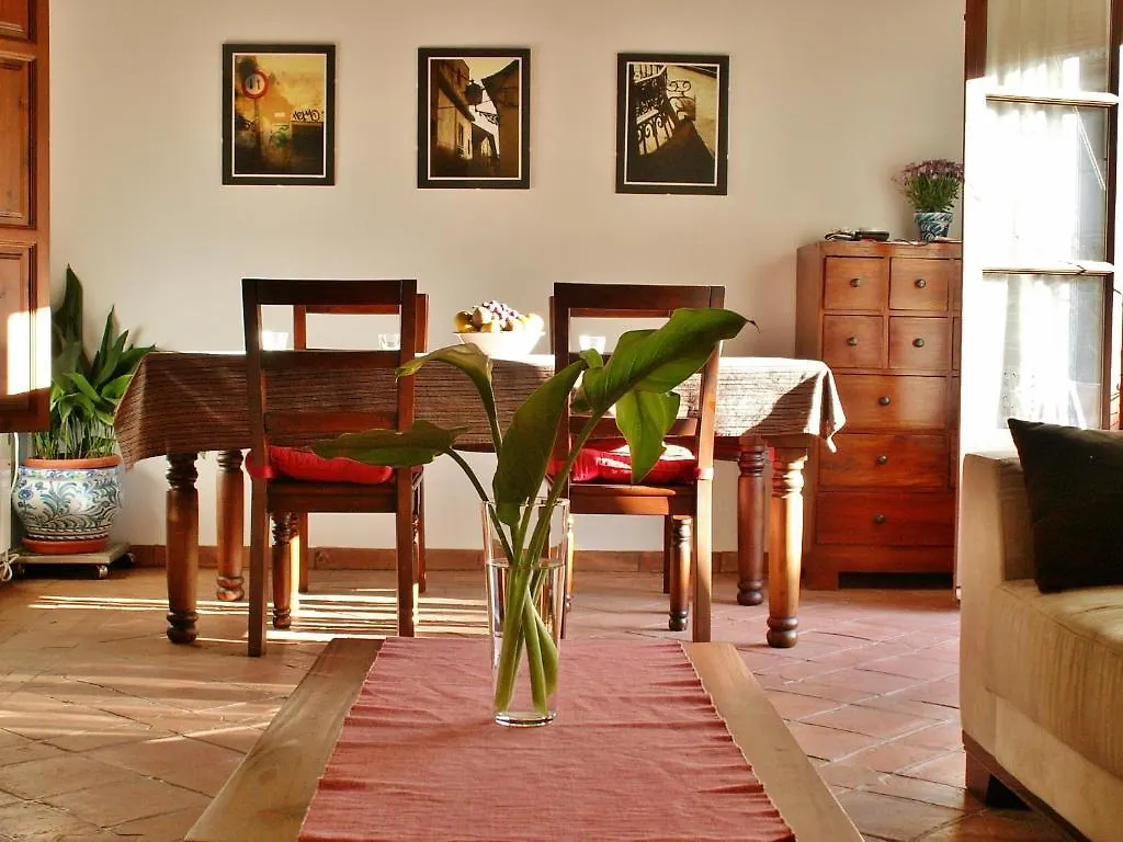 Oasis Backpackers' Hostel Granada