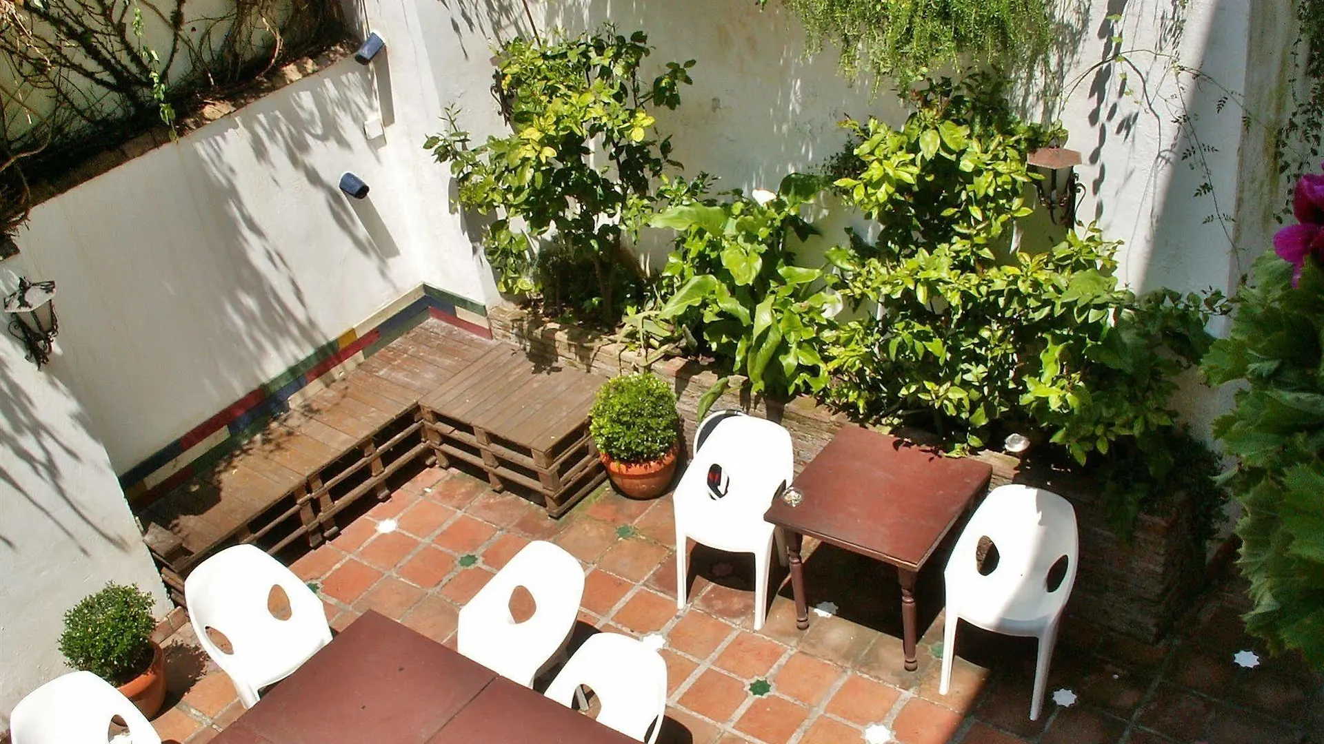 Oasis Backpackers' Hostel Granada