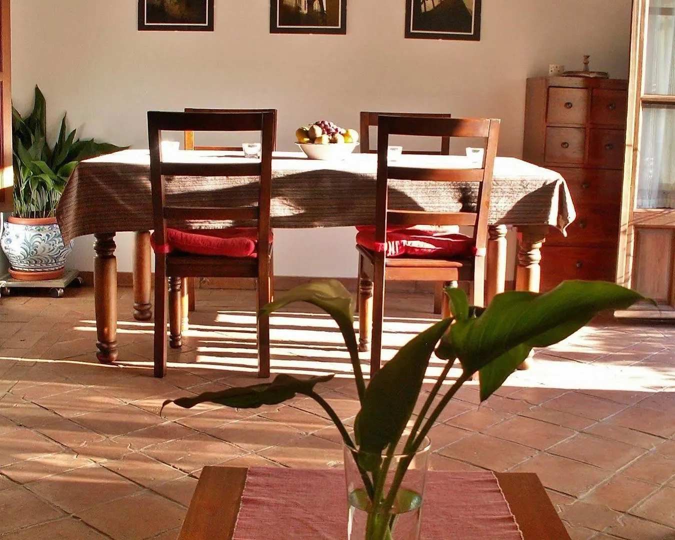 Oasis Backpackers' Hostel Granada