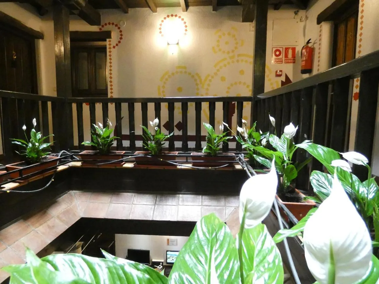 Oasis Backpackers' Hostel Granada