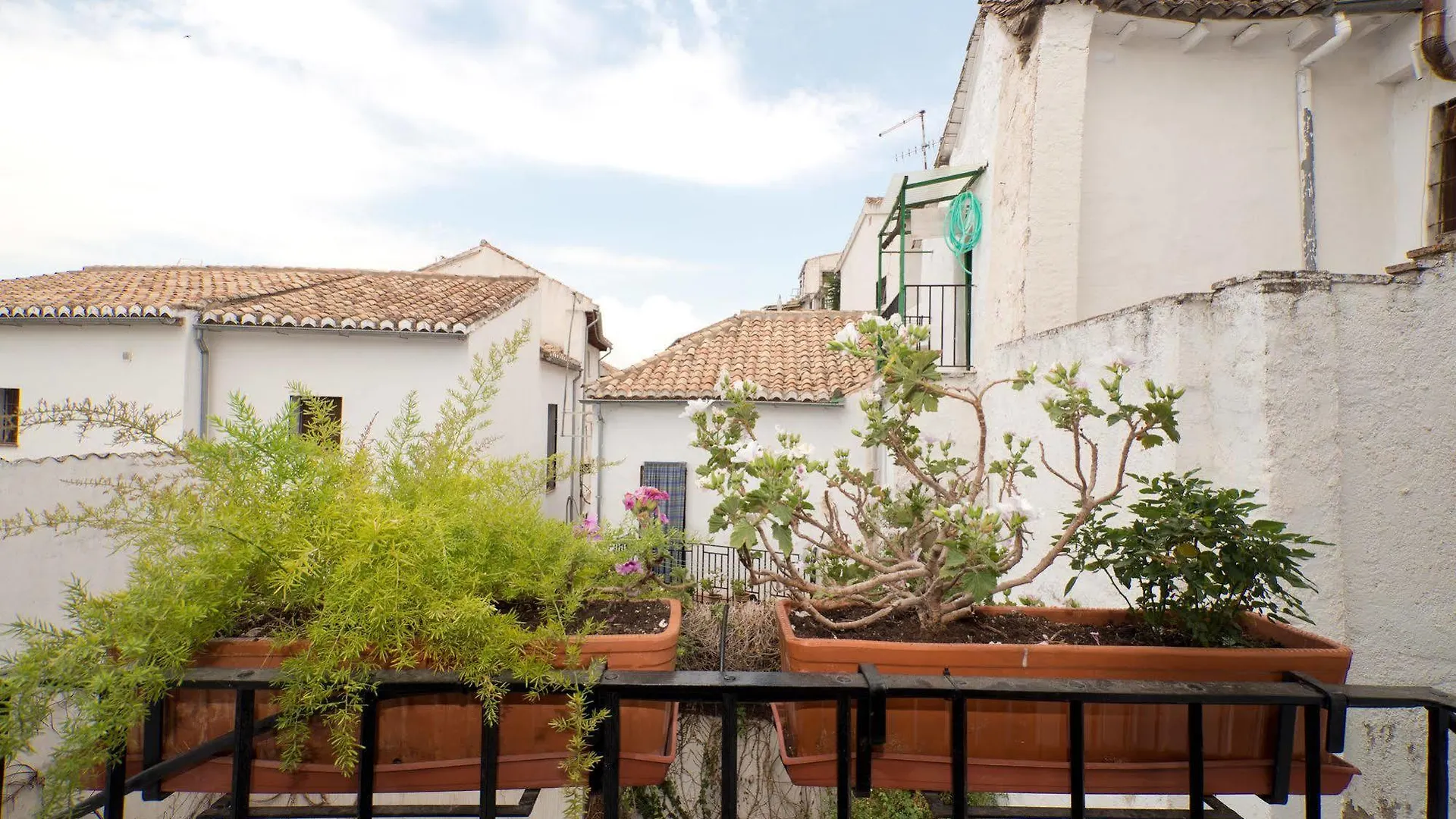 Oasis Backpackers' Hostel Granada Spain