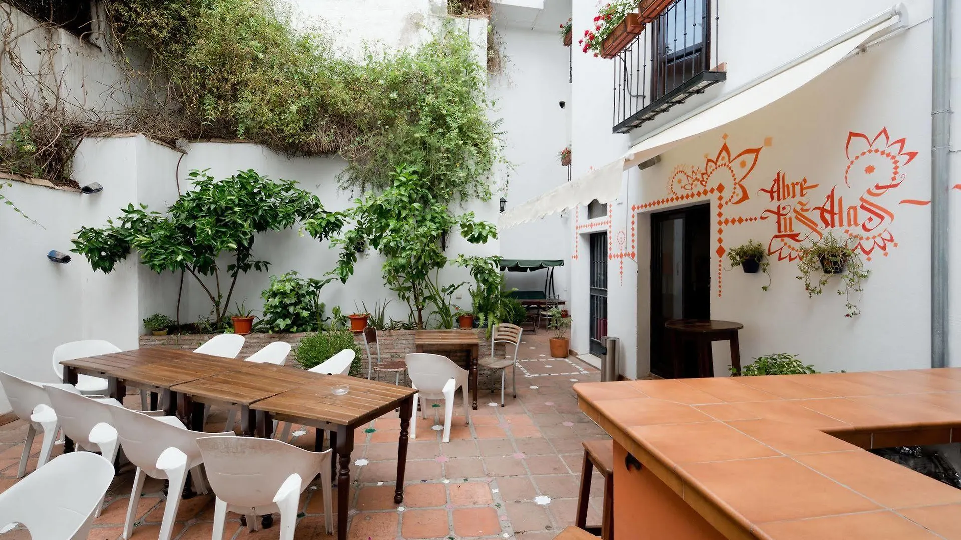 Oasis Backpackers\' Hostel Granada contacts