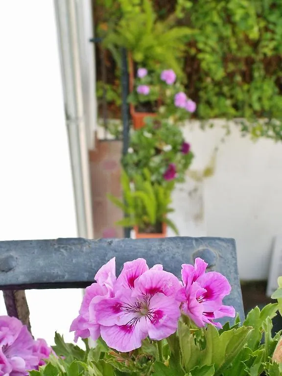 Oasis Backpackers' Hostel Γρανάδα